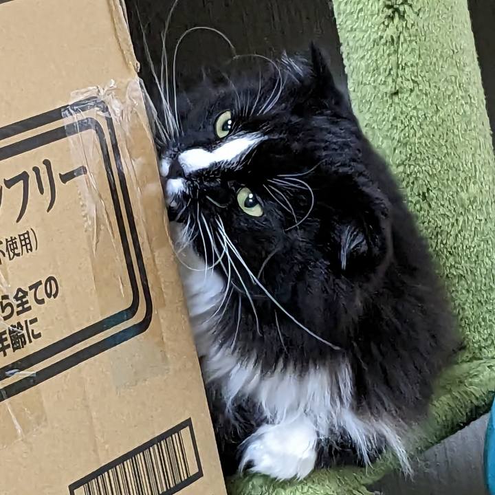 0621f0f7 7093 4c9e a688 fe65e76564e2 1680261454696