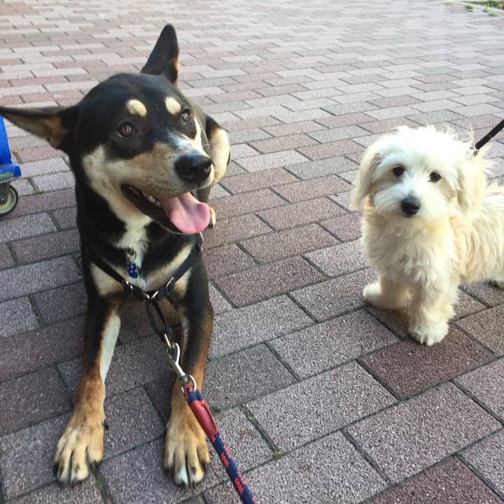 0621f90b 0b39 4fd3 b2e9 906780ee26d9 1527975678003