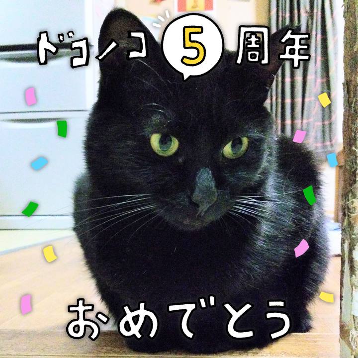 06221dcc ec58 4f26 932a 86a650e0cc71 1623155225935