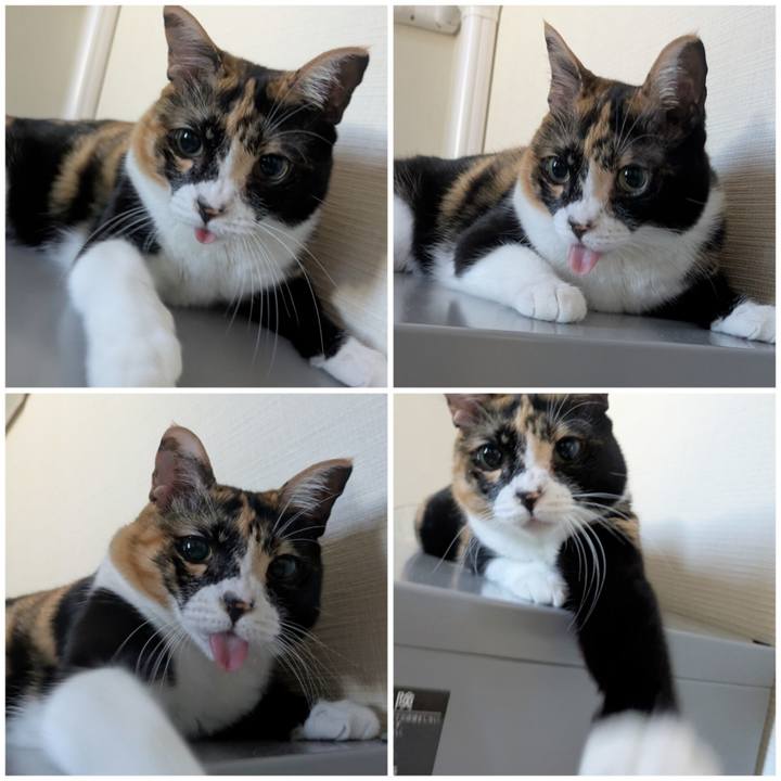 06225099 42b8 435c 898c 5d7bfb01d340 1757571124249