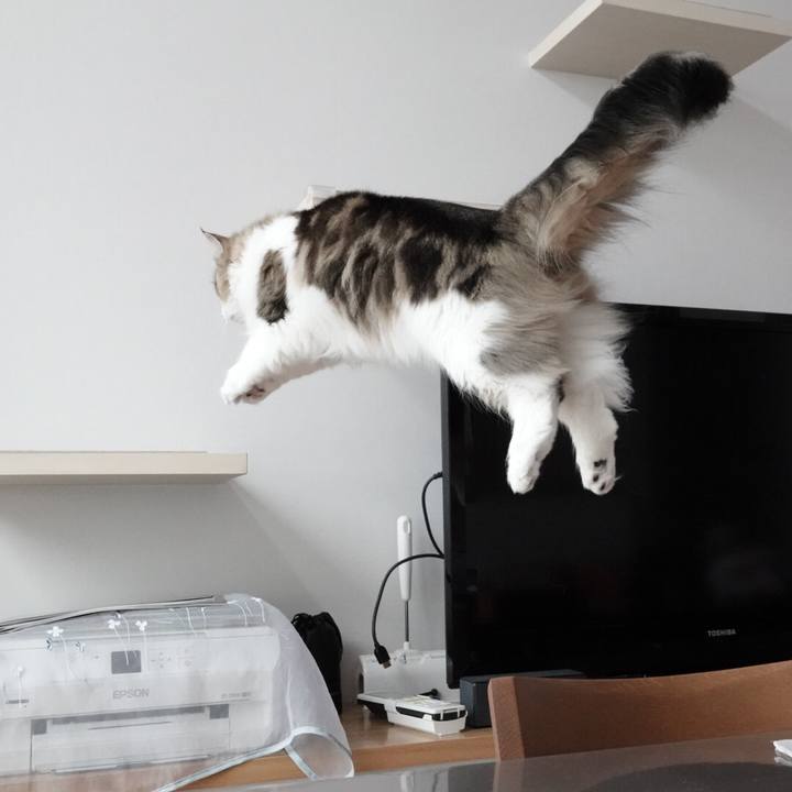 06227189 14be 41e2 bbcb 88f576e3990b 1581561390621