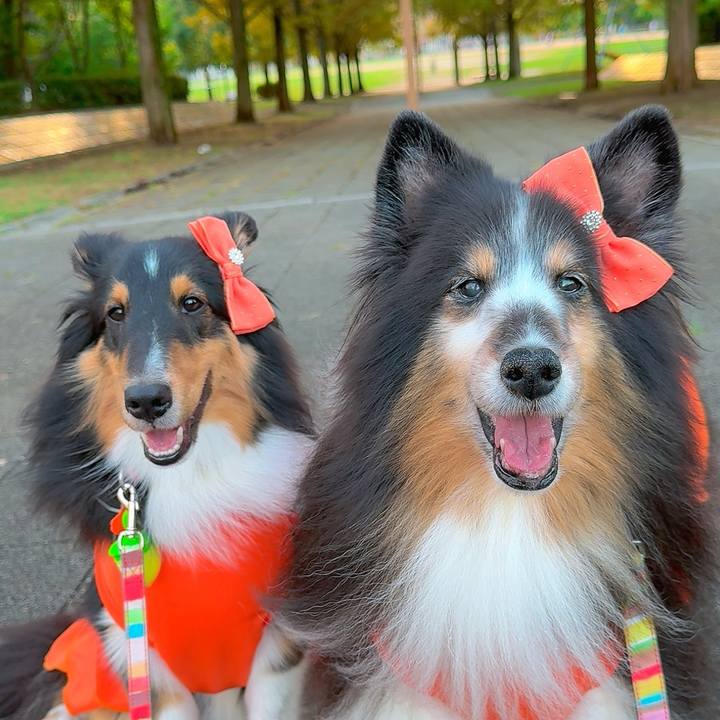 062299dd ff82 4099 b11c aa6bb99660bc 1759155482521