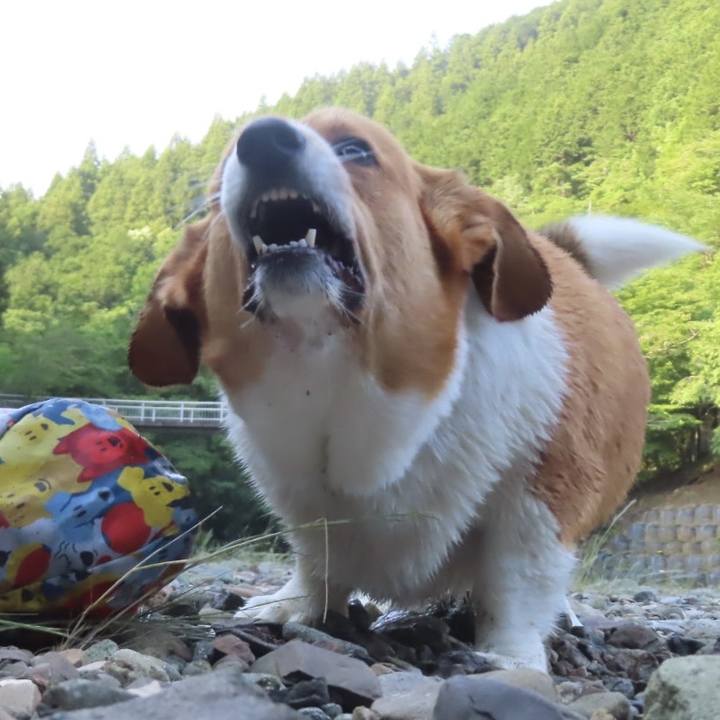 0622bb13 0f9b 4dc0 b4df bae106d480d0 1719271051259