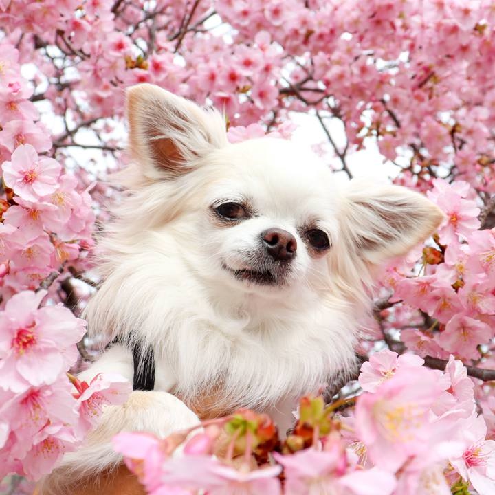 0622e34d 9905 4d59 ac71 f95201a4e6d6 1773203025031