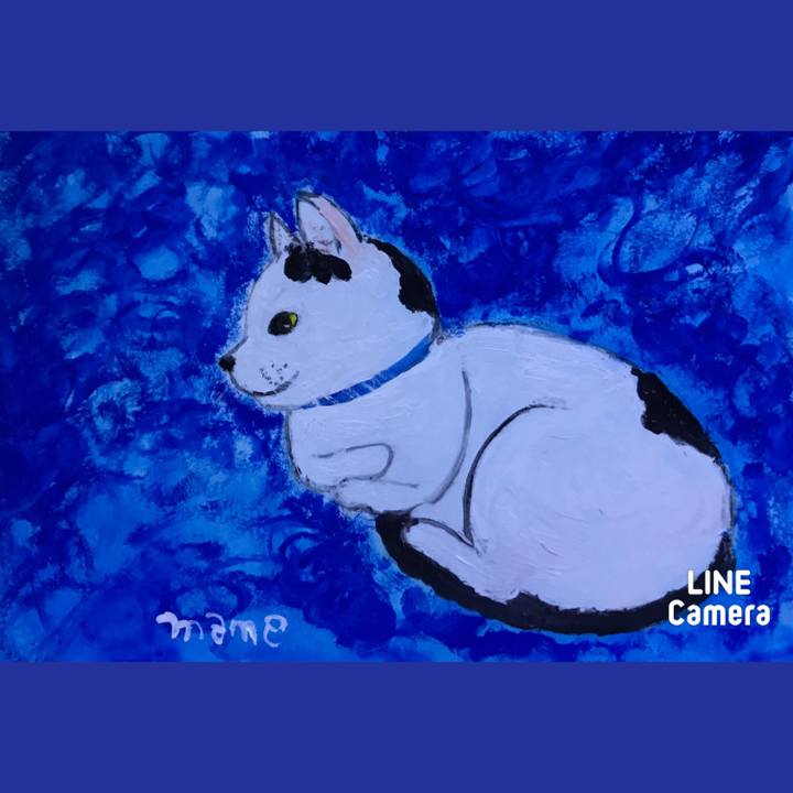 06230e0e 7874 4ad1 a1ed b8415f9771bf 1611921857274