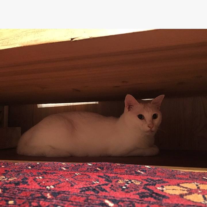 06233364 0918 44ea 9427 998f0e663182 1563627170671