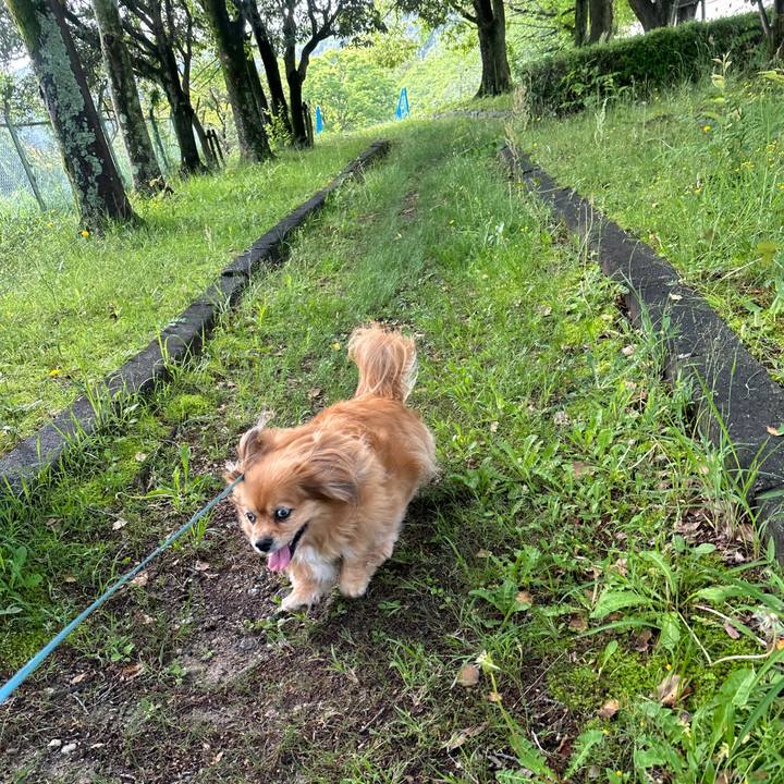 06233373 c549 4cec b1e1 9f30dcb5ffe1 1747543812893