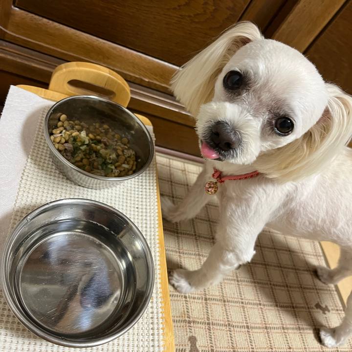 0623a220 8f45 4098 8f5e f609bd1f30af 1690191761343