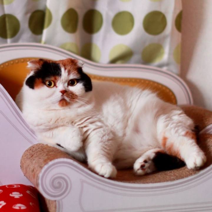 0623ae0a 1f6b 45e8 81e7 a293315f3a8d 1576243608867