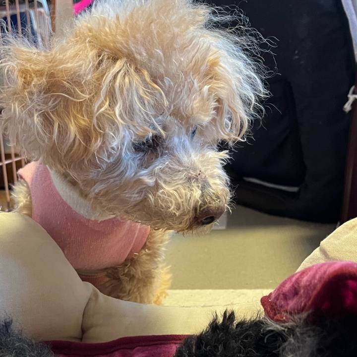 06240f97 61c8 43c5 9a8a ce8991286be3 1767513111366