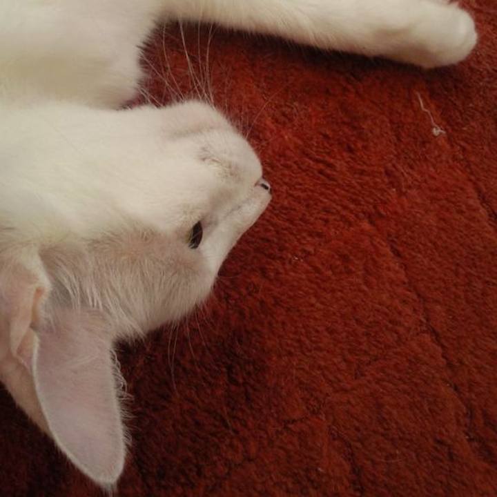 06242424 5574 4aa9 a6a8 f313a1e901b6 1689645741563