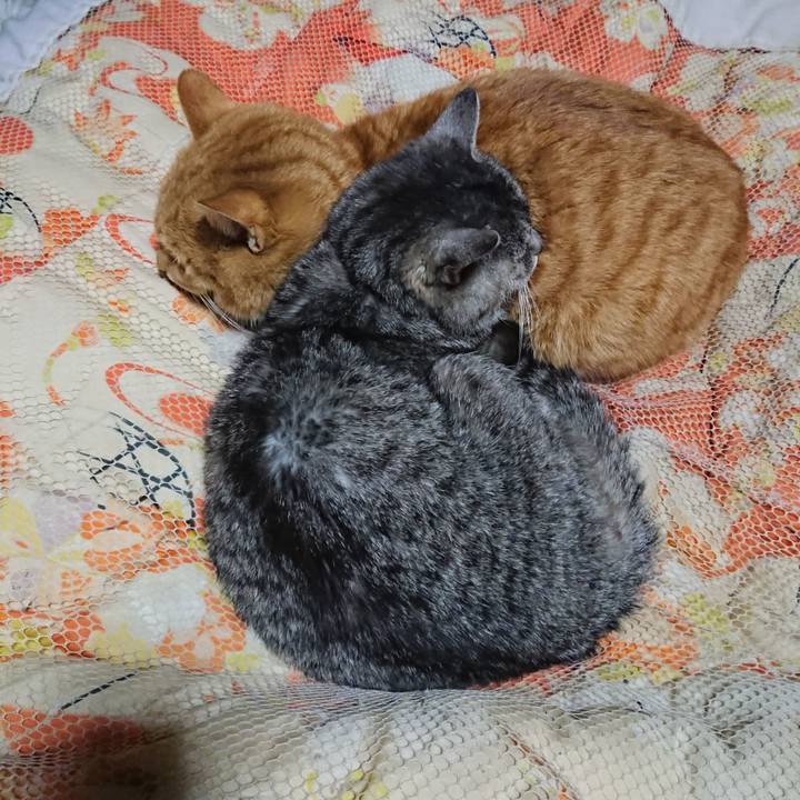 06244c23 8f70 4e20 b451 132c2f7cb38a 1578225814527