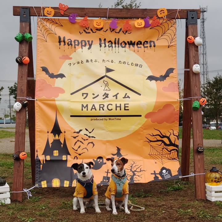 0624918d ab65 4e35 ab1b 9708599dd419 1730024604958