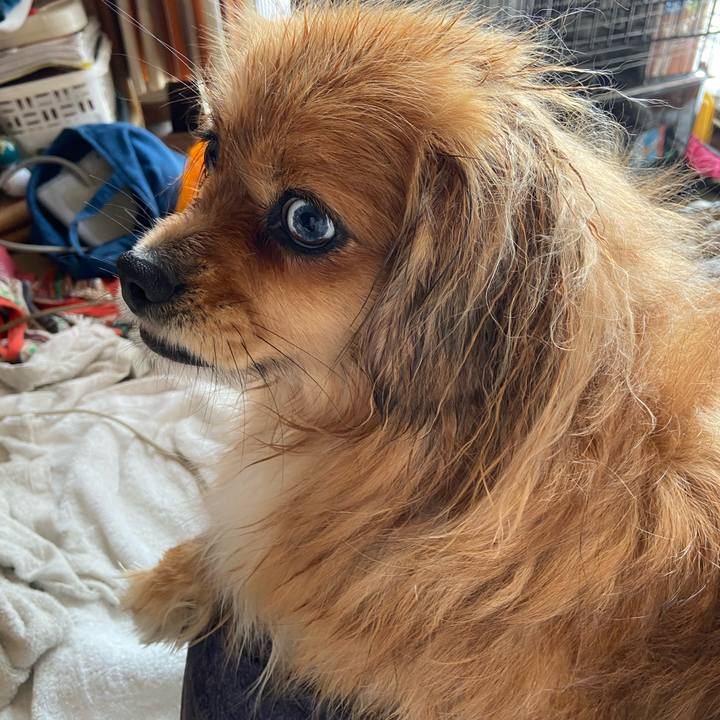 06249f9e 117f 4fce 9308 e3a65e653c26 1583120070151