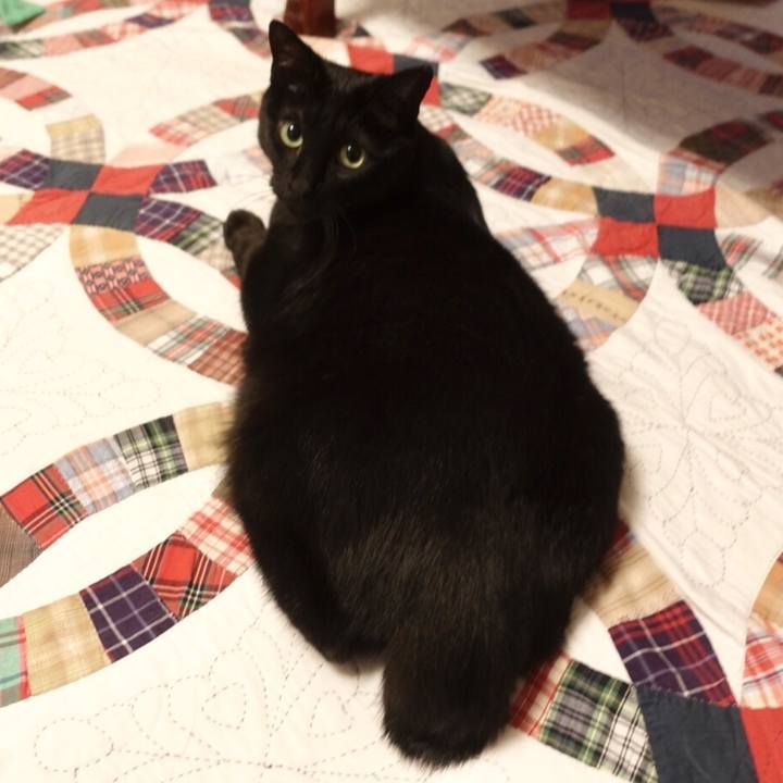 0624a9b8 f1d4 4217 b304 23e83041d3f9 1560607860864