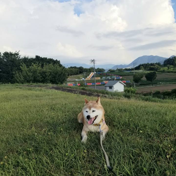 0624c92c f711 4ec7 8ef2 d25c9f080359 1692345304373