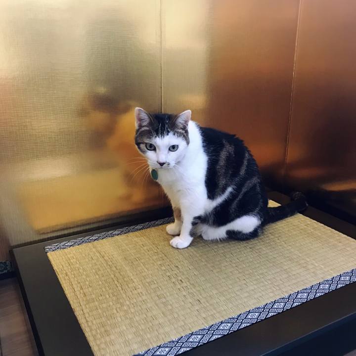 0624d04d 41f4 4eac 8f1a ed5596f3c2c8 1618218111822