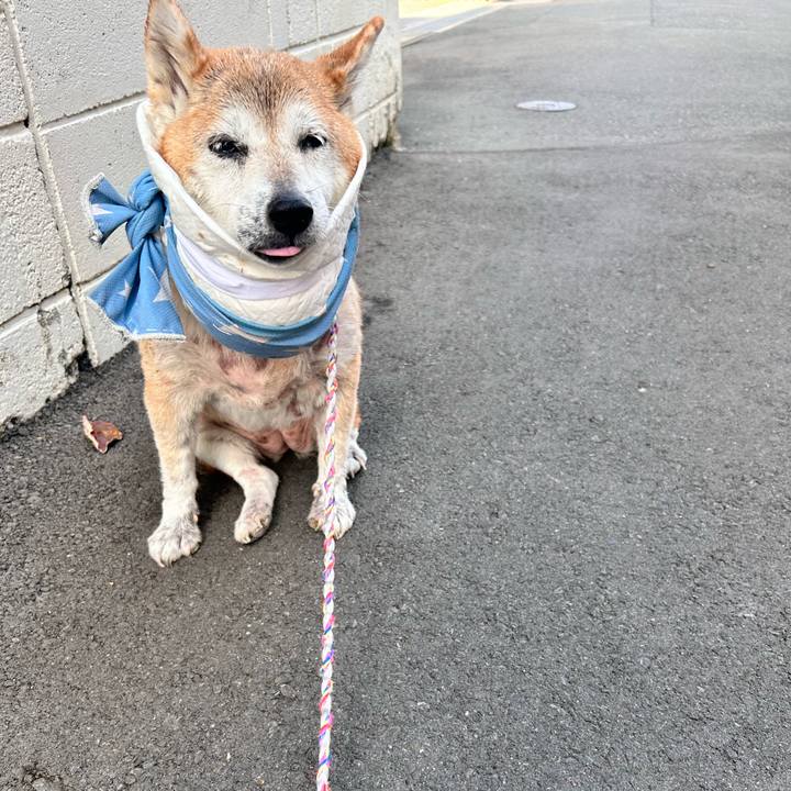 06250d12 f5b4 484a a2cc e44270b02459 1763698988366