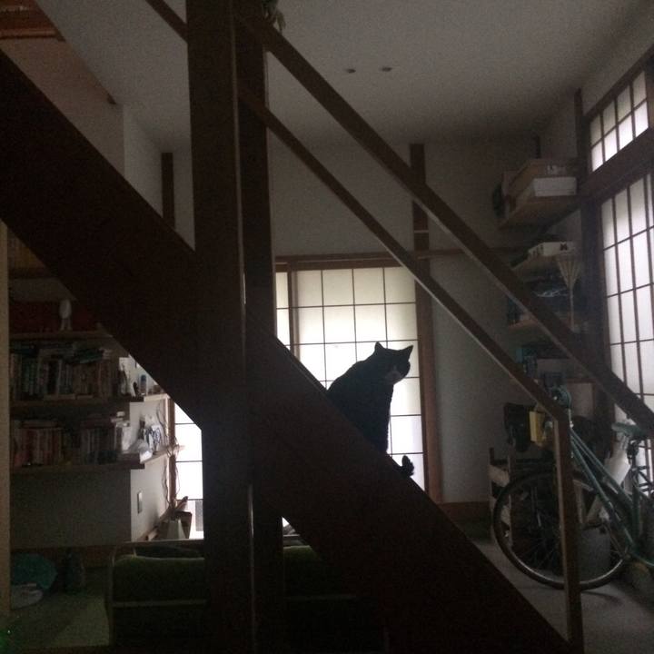 062539e0 a582 4eb3 b4f7 bcc82447a557 1521504555826