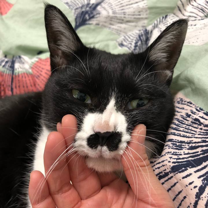 062549b8 4706 420b 934d 8cb1c99a2c61 1542641889908