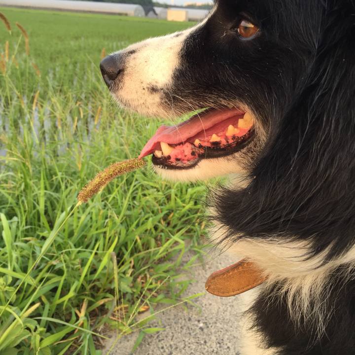 0625503c 2eea 4ee9 b646 8bd3a88e9f78 1531777163437