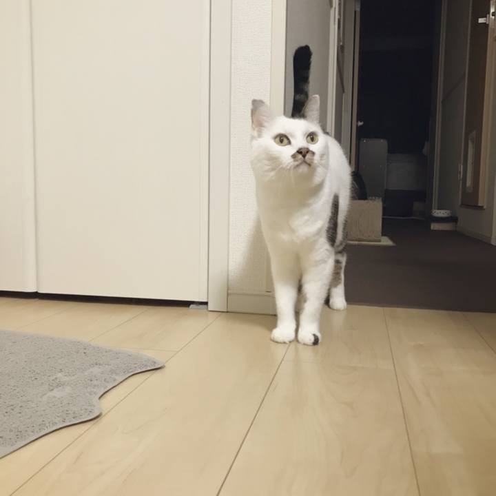 0625b7e5 3a9e 443c be8e 40d5cda60855 1539395014375