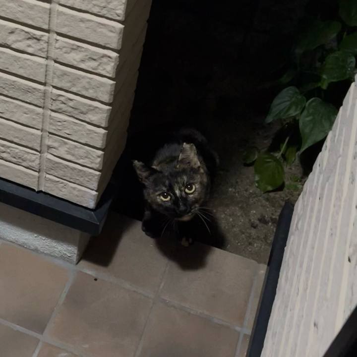 0625d711 9778 443f 9b8a 71cac3eee0b4 1705192255972