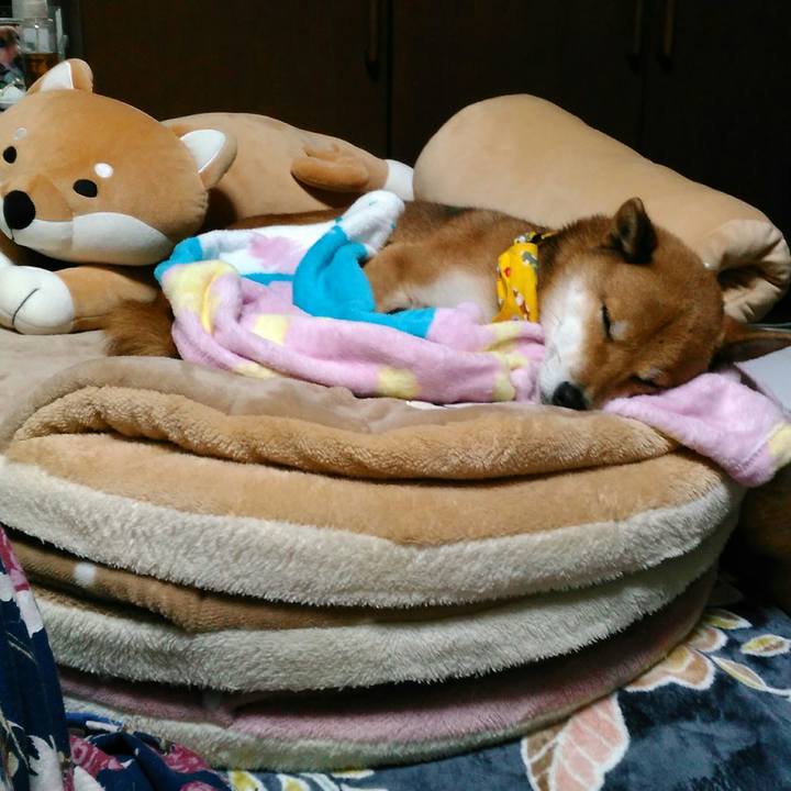 0625d9c7 6e35 41f3 888b 292baff9c7ba 1511867690323