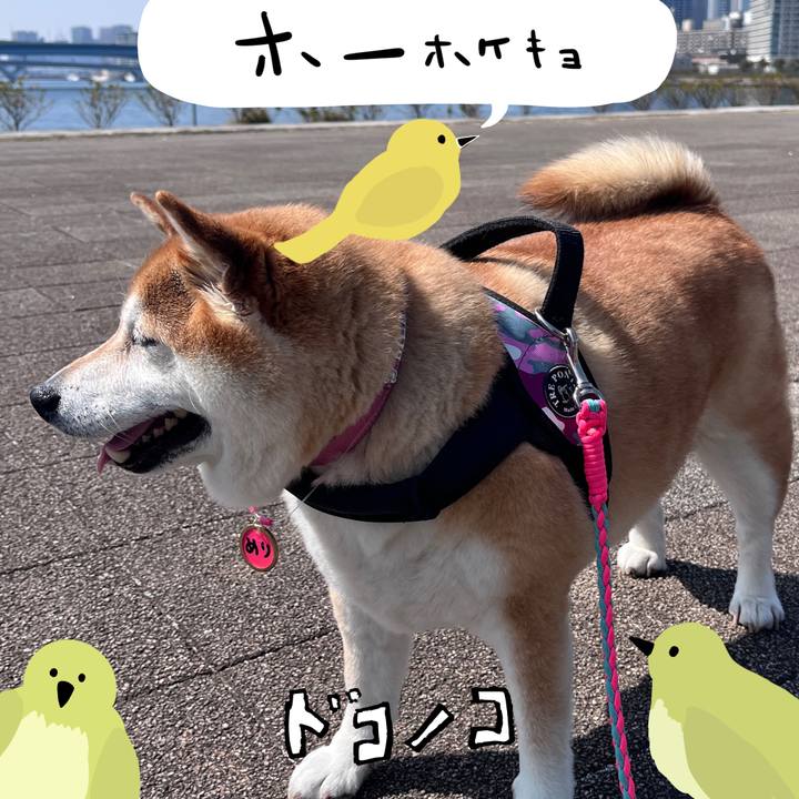 0625f686 19e7 48fa 88cb adb4d8931c16 1711195208762