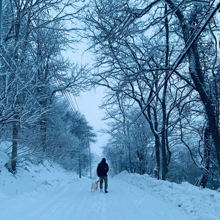 0625fc67 d073 4c25 8171 267ba9a07a66 1671057102487