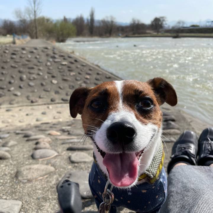 06260e4a 55f9 405d a88f 263351a26c94 1648623511820