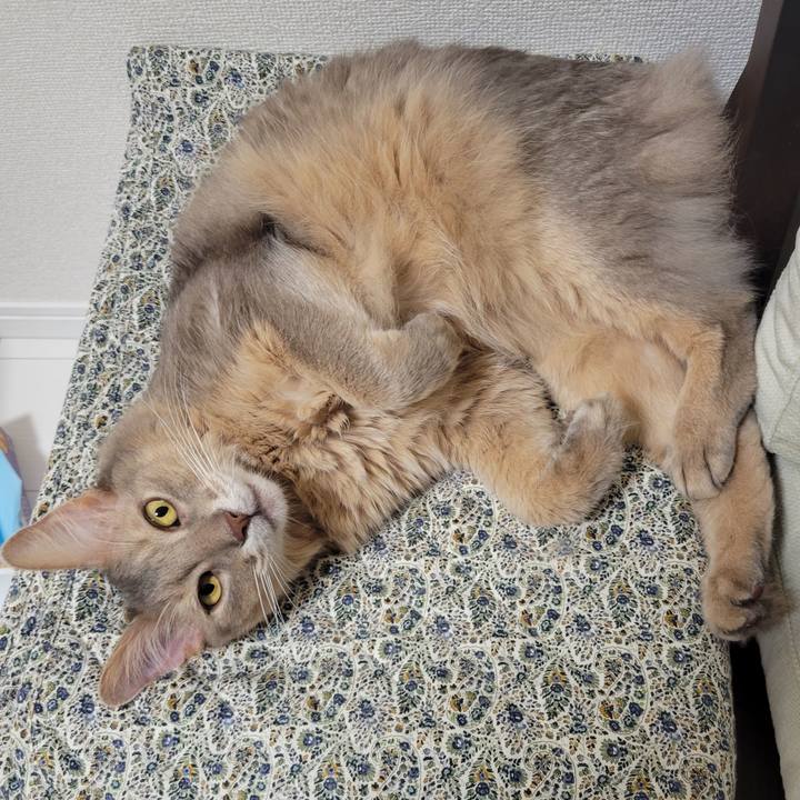 06262546 70eb 4a41 8207 2381f48ede99 1695380508200