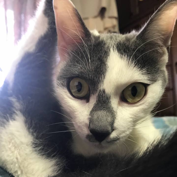 062633b6 b6df 4c5b 870c c60eb6241a11 1523671551750