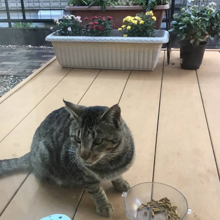 06263561 e9e5 44ad ab5c 247c9274ba7b 1764290825145