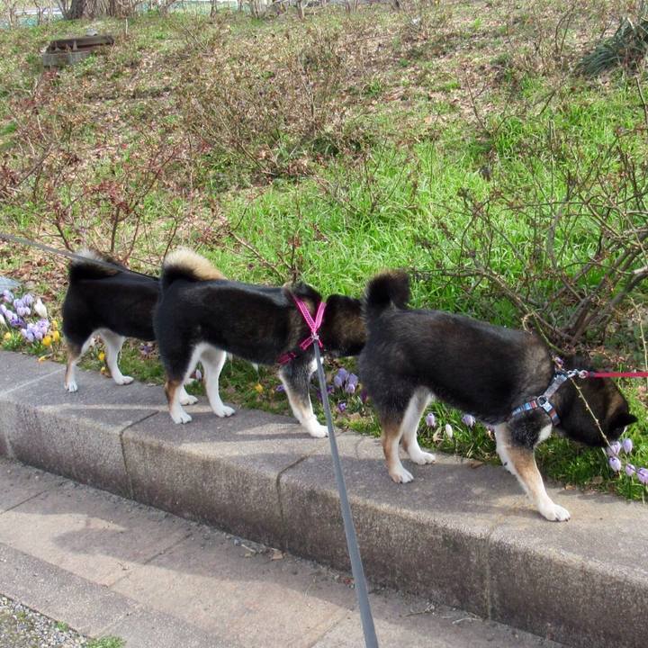 06266e41 d5ff 4149 9140 998dae15859f 1616125238524