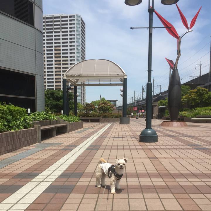 0626a467 2018 457f a87b 5532a9b8f69b 1558851479719