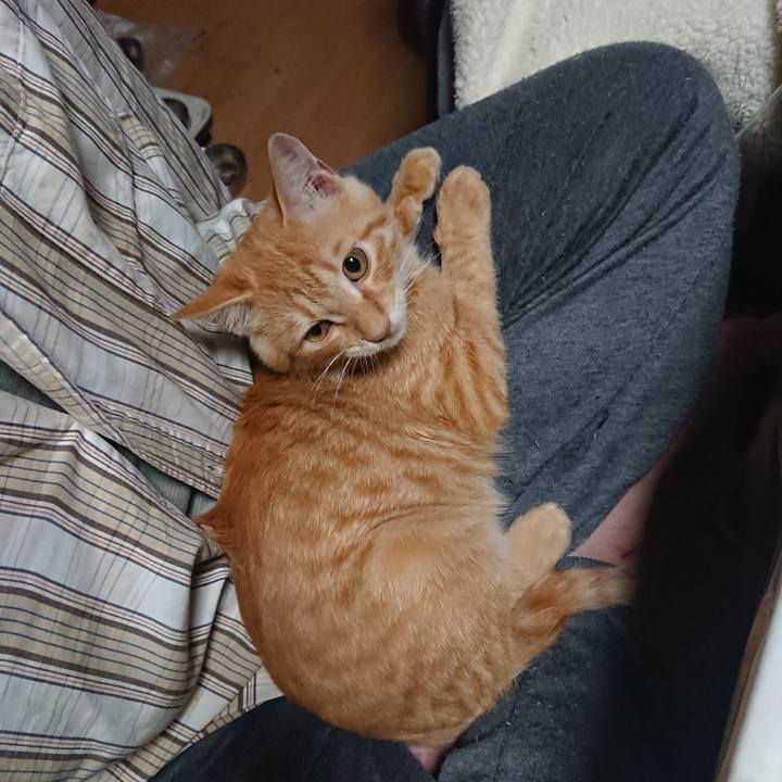 0626b014 f88c 428d b3b4 1ea7604b4157 1634381280150