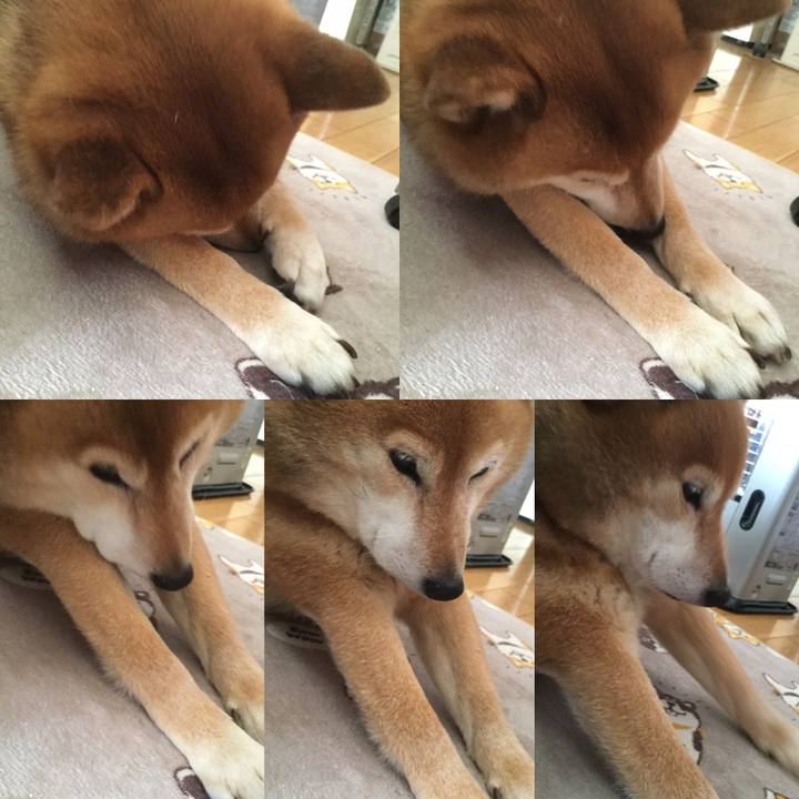 0626d90a f120 40b9 b549 a52603d22671 1612757685679