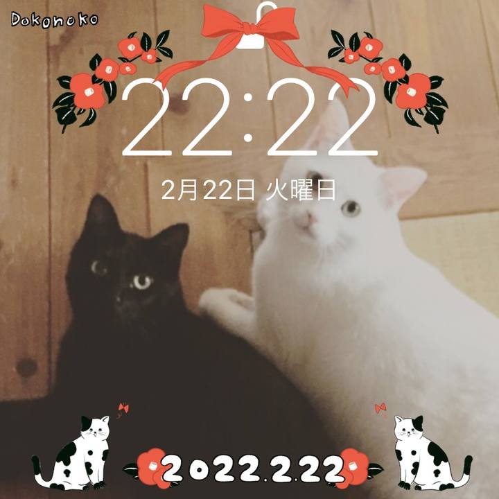 0626dac0 8307 414b 9716 9d583b9880be 1645537252928