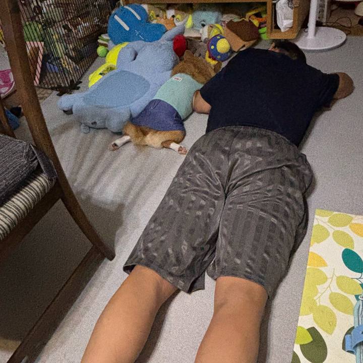 0626f28e 62de 4471 973b b8394a880ee6 1758719261559