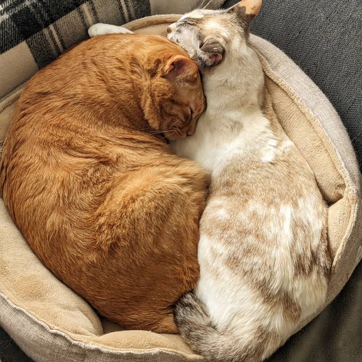 06271f9d 2cfe 4e0a a3b4 ceabbbf718a0 1745416199032