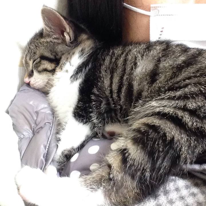 06273608 d2d7 48b2 a1da 5346ba0cbdb6 1512748535205