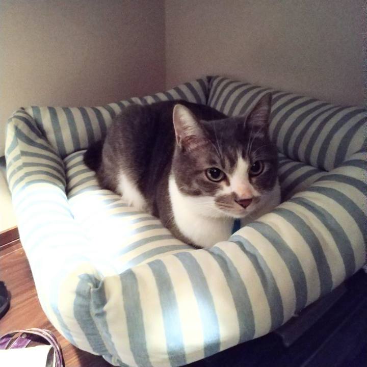 0627541d 9821 47c7 bace f5c82ba169ad 1611784733294