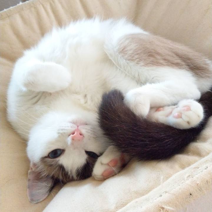 062761e8 1100 4663 98e3 478f0cf570fa 1535181519144