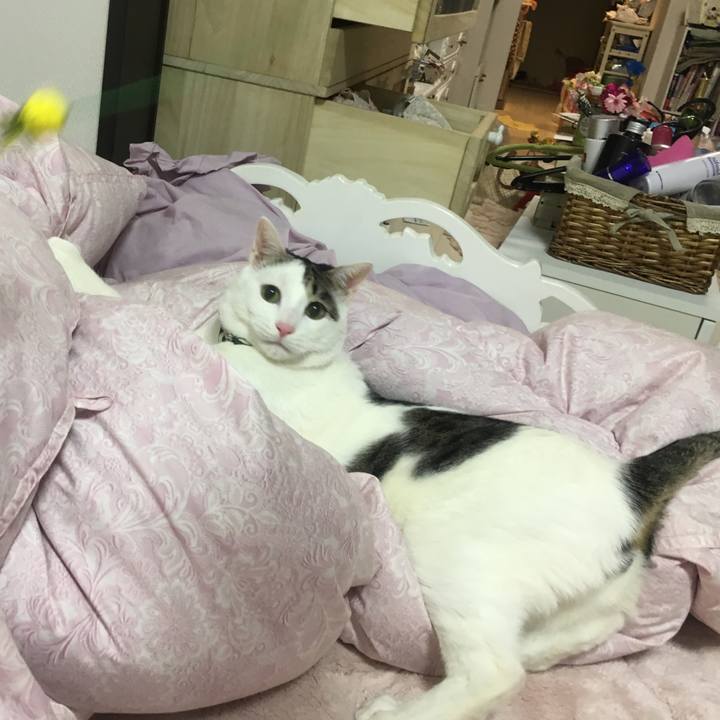 0627645b 7962 4d17 9e6b 2d051bef0d7e 1517110812131