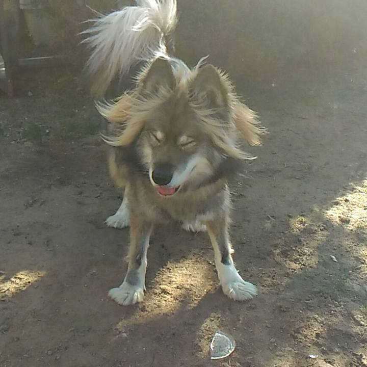 06276d07 b013 4d07 b245 b660e5dcc182 1517802507616