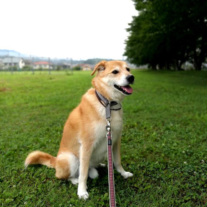 06276de5 cb5a 4af6 aab2 6d63af92f9a6 1531520363536