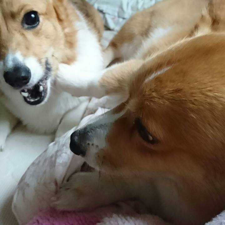 0627833c 3346 43a8 ba41 15cfecf6b844 1528688239302