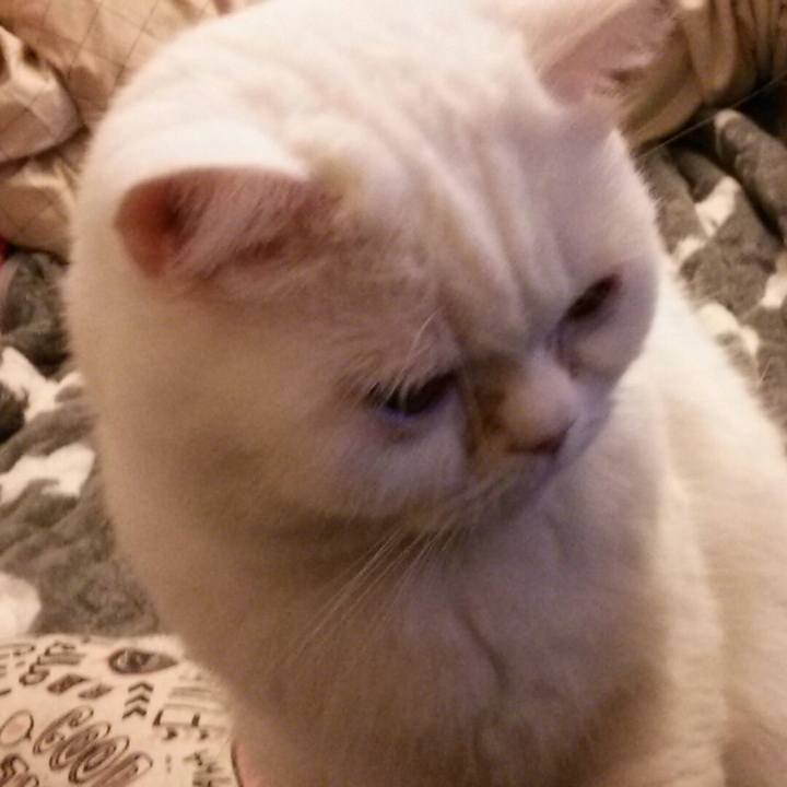 06278553 862d 40a9 89d6 c0b478628ba9 1519034755587