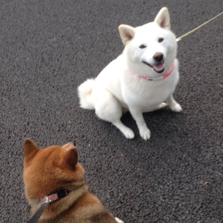 0627a84e 685e 4240 812a 96c98a41a0ea 1531128990333